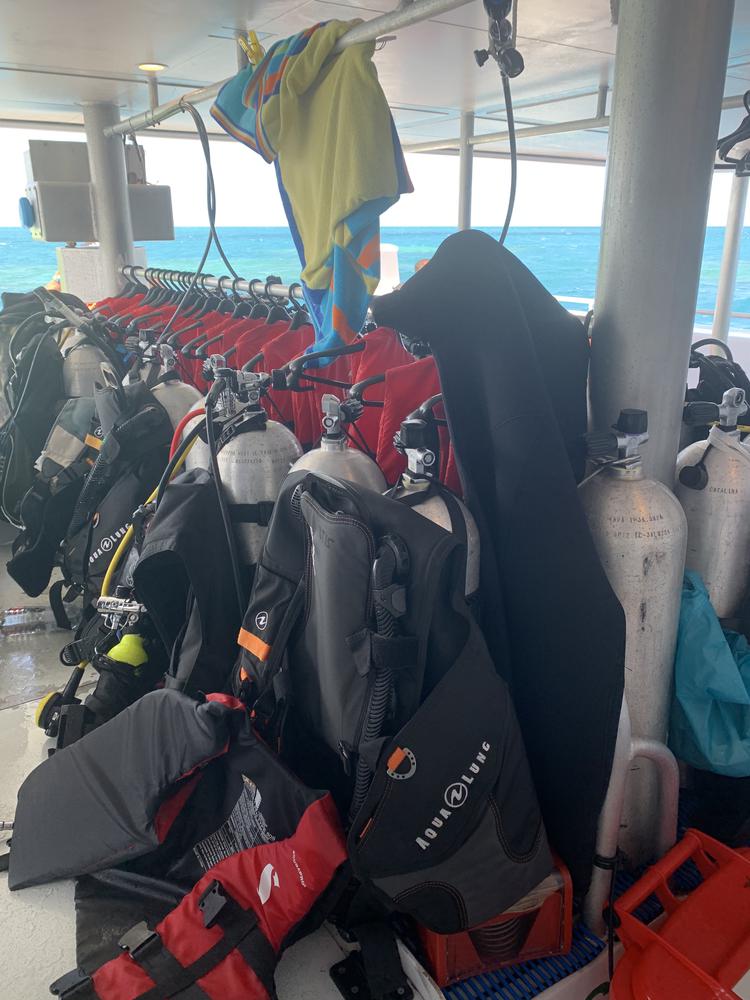 Scuba diving in the Great Barrier Reef
