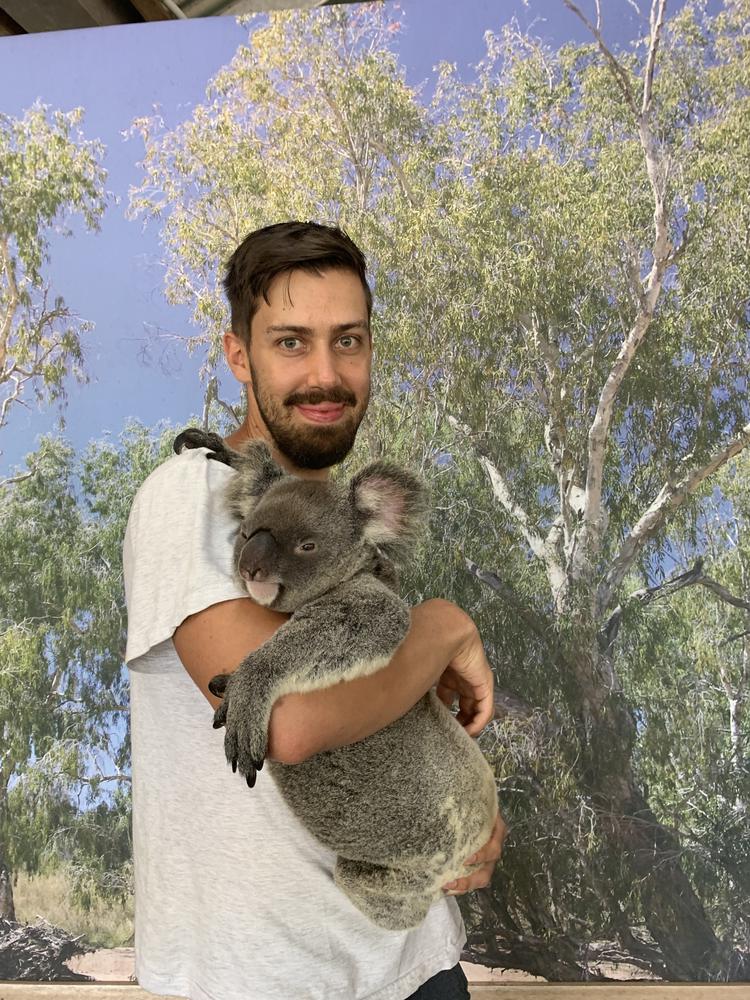 Meeting my koala princess in Kuranda