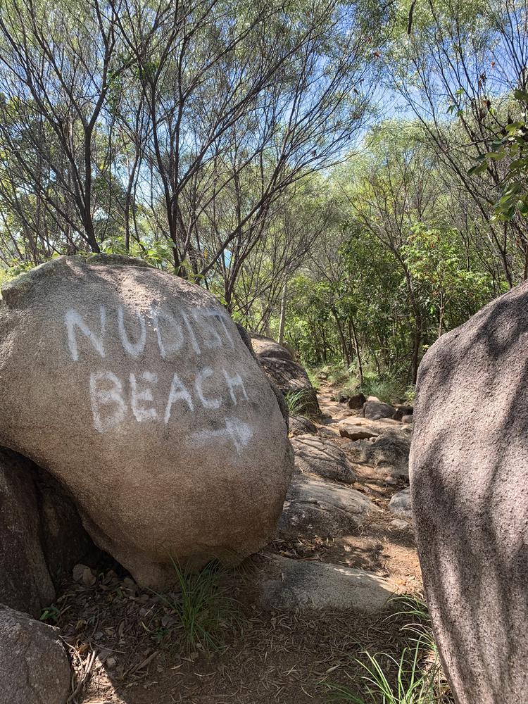 Magnetic Island - A great destination for animal and hiking lovers