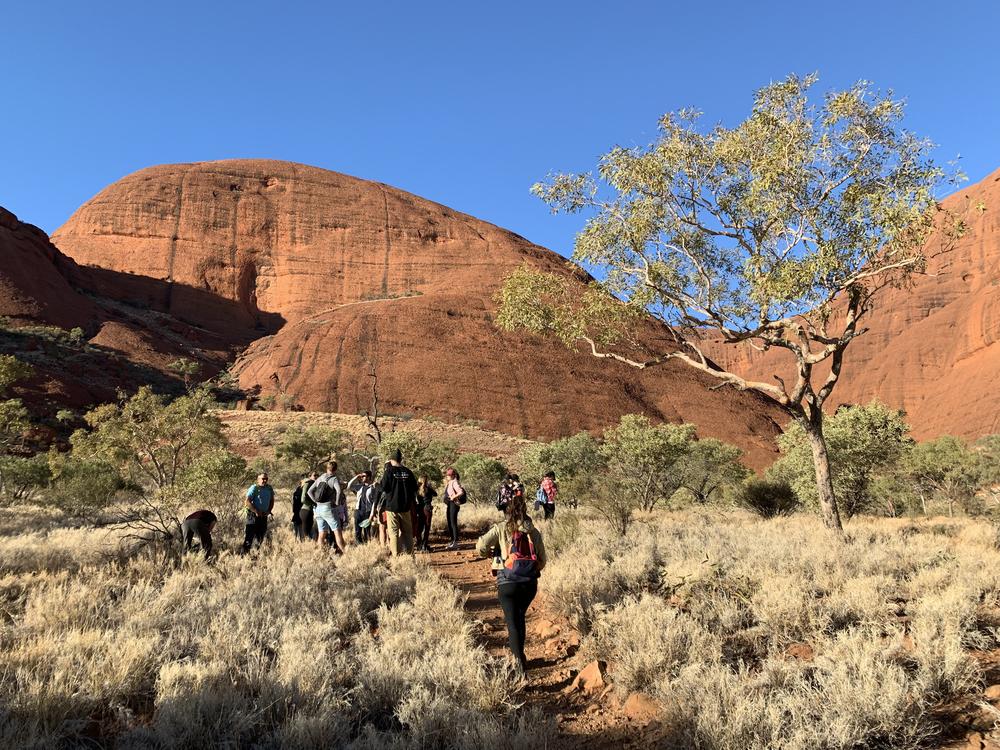 Uluru (II) - Many Heads, Kings Canyon & Milky Way