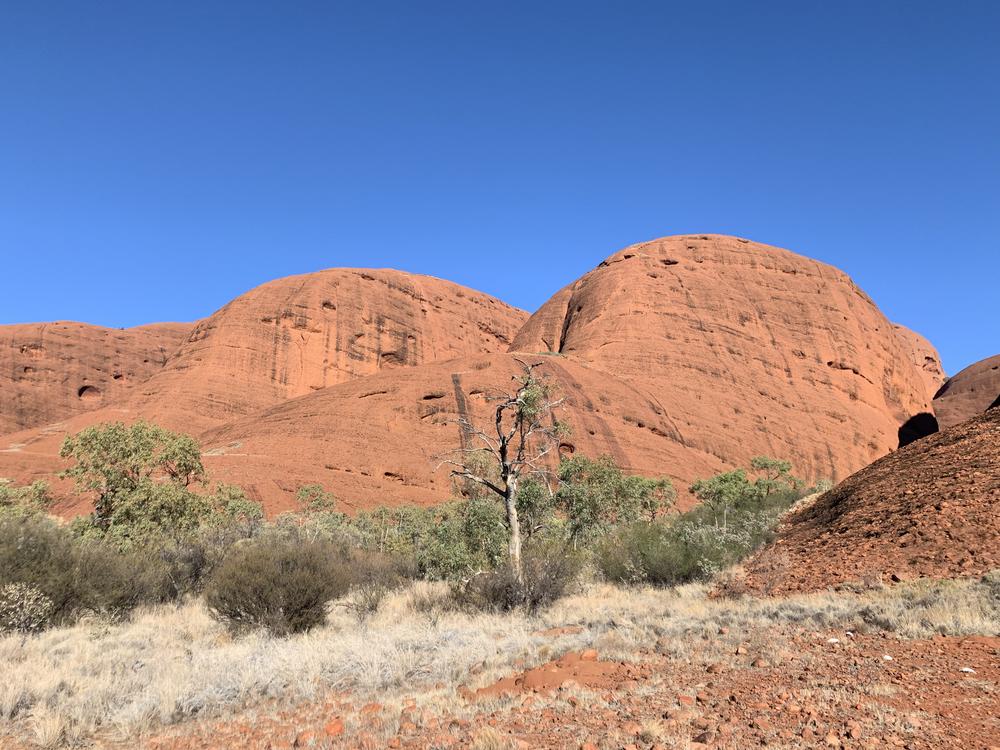 Uluru (II) - Many Heads, Kings Canyon & Milky Way