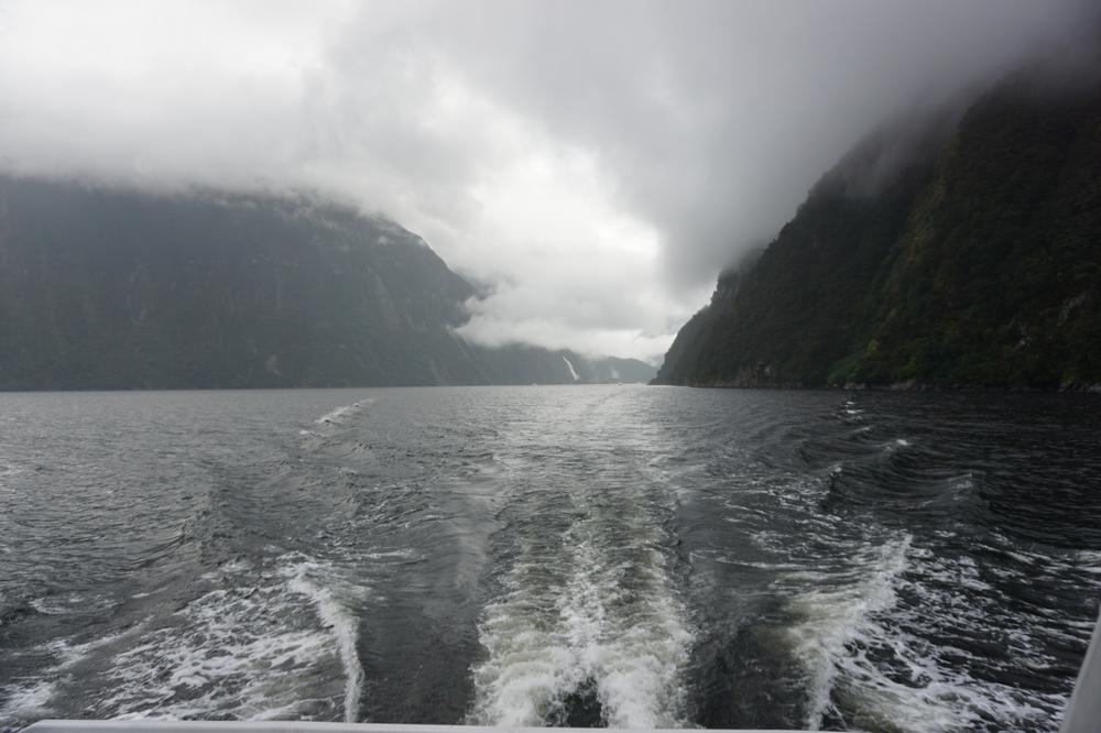 The rainy fjords of Milford Sound