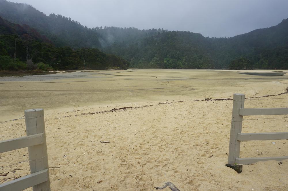 Nelson: Golden sand in Abel Tasman National Park