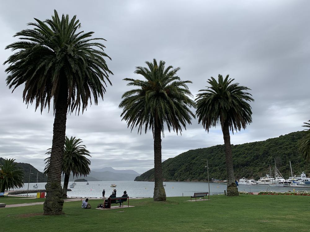 Picton - So underrated & beautiful