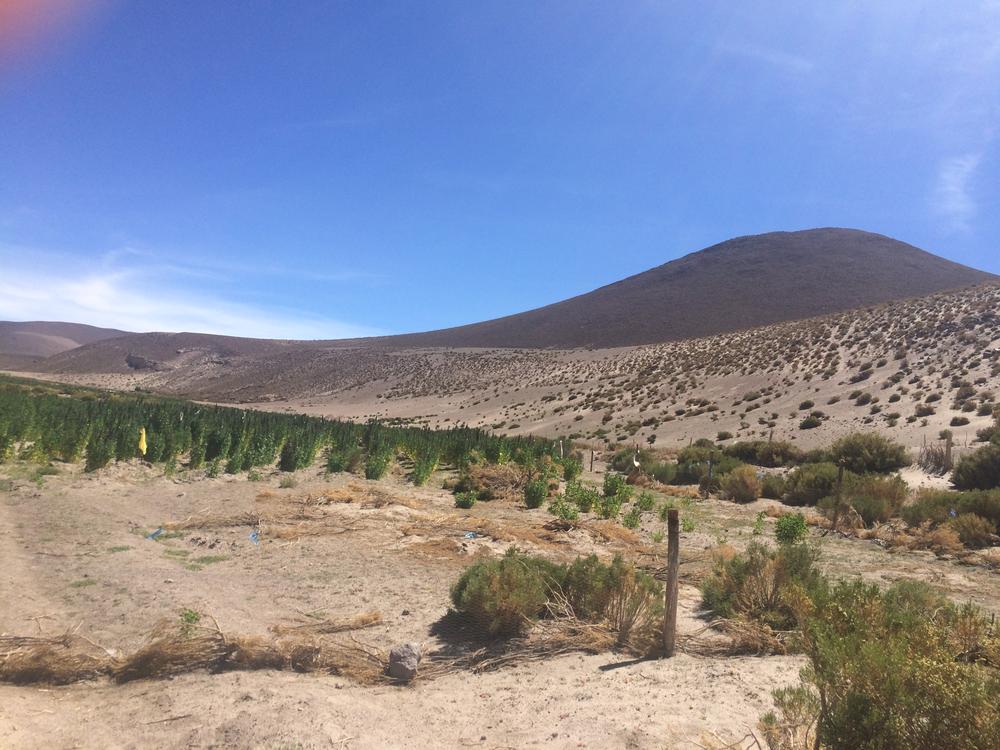 Uyuni - Entering the amazing landscapes of Bolivia