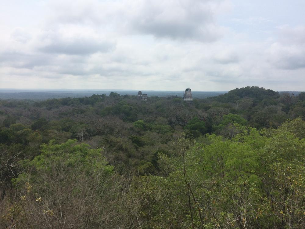 Tikal - Terrible arrival, gay seductions and wild monkey screams in the Mayan ruins