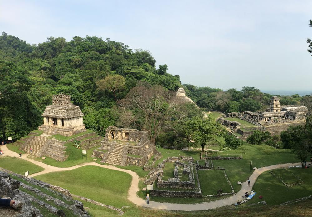 The green hell of Palenque