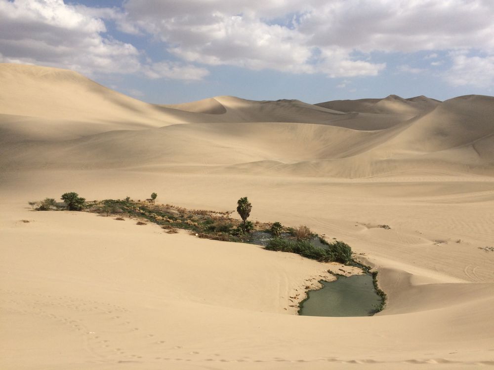 Huacachina - A tiny oasis in the desert