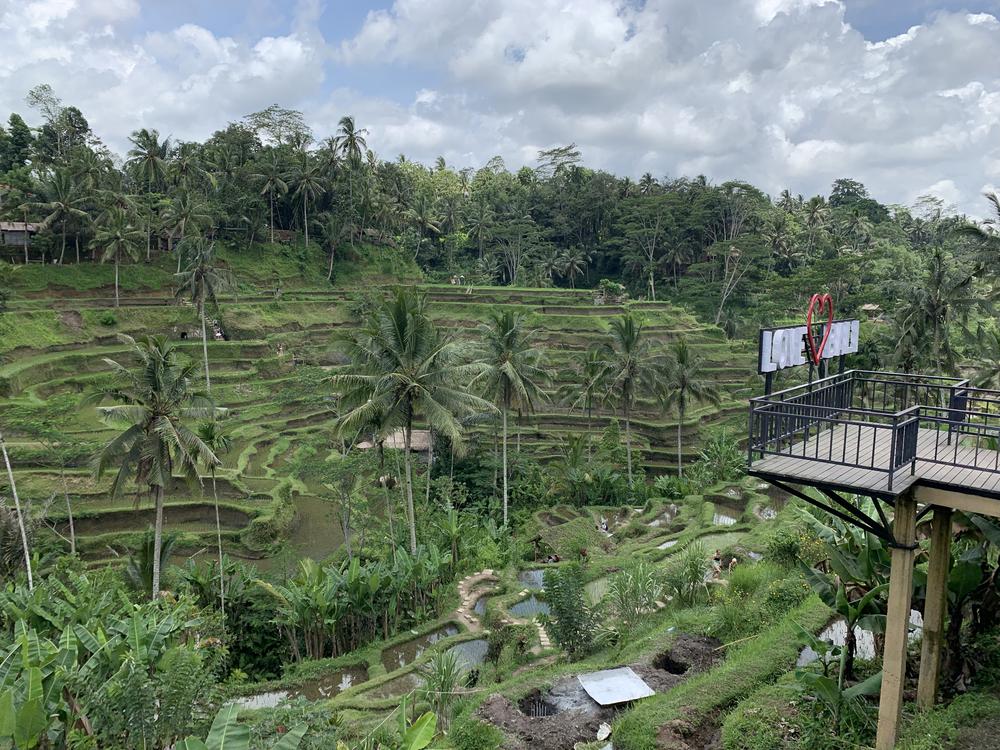 Bali - The biggest tourist hell!