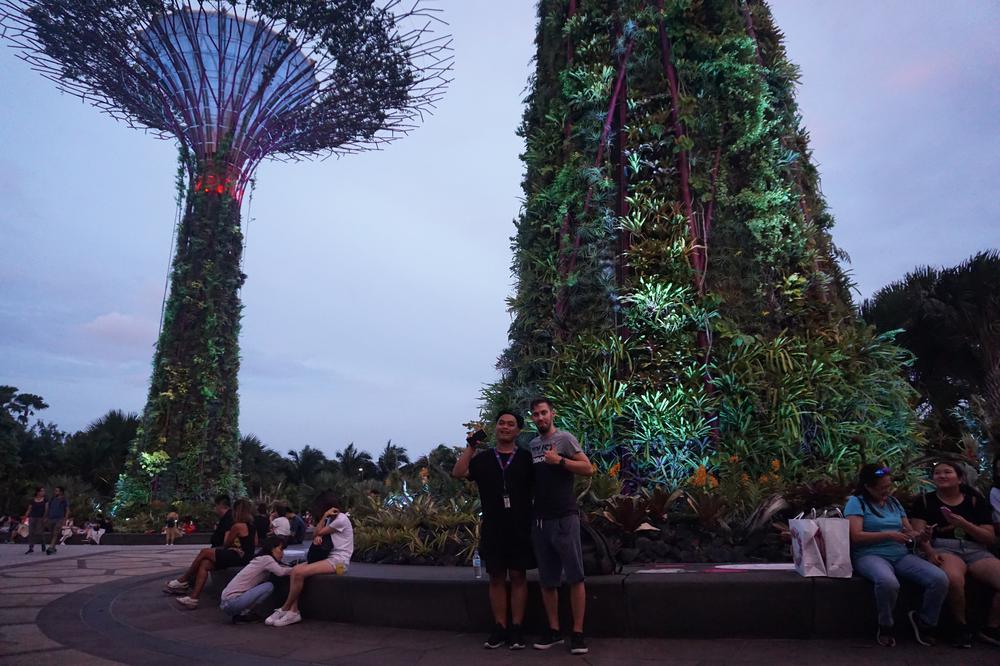 Green & sustainable - Gardens By The Bay
